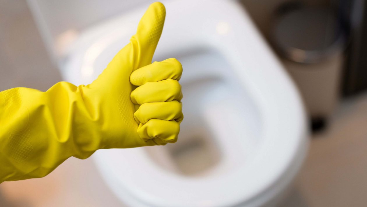 toiletpot